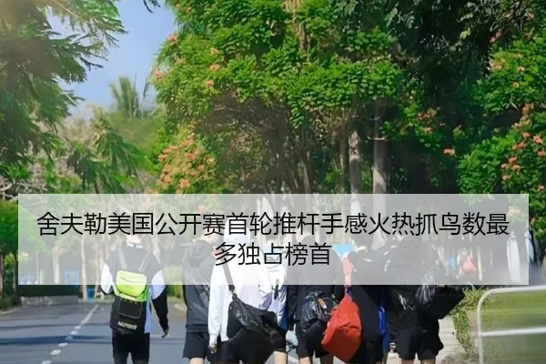 舍夫勒美国公开赛首轮推杆手感火热抓鸟数最多独占榜首
